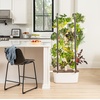 image:imageGardyn 30 Bundle  Hydroponics Growing System Vertical Indoor Tower Garden Germination Nursery amp HydroBoost 30 Gardyn Home Kit 30 Free NonGMO Plants LED Grow Lights 30 Day Kelby Trial