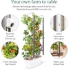 image:imageGardyn 30 Bundle  Hydroponics Growing System Vertical Indoor Tower Garden Germination Nursery amp HydroBoost 30 Gardyn Home Kit 30 Free NonGMO Plants LED Grow Lights 30 Day Kelby Trial