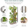 image:imageGardyn 30 Bundle with Hydroponics Growing System Vertical Indoor Garden amp Nursery 30 Gardyn Plus 30 Free NonGMO Plants LED Grow Lights 30 Day Kelby Trial Membership amp Nursery