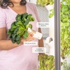 image:imageGardyn 30 Bundle with Hydroponics Growing System Vertical Indoor Garden amp Nursery 30 Gardyn Plus 30 Free NonGMO Plants LED Grow Lights 30 Day Kelby Trial Membership amp Nursery
