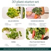 image:imageGardyn 30 Bundle with Hydroponics Growing System Vertical Indoor Garden amp Nursery 30 Gardyn Plus 30 Free NonGMO Plants LED Grow Lights 30 Day Kelby Trial Membership amp Nursery