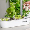 image:imageGardyn Essential Bundle for Your Hydroponics Growing System Indoor Garden Indoor Nursery Germination Seed Starter Tray amp HydroBoost Plant Based Water Treatment Lowers PH amp Balances Plant Nutrients