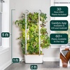 image:imageGardyn Hydroponics Growing System Vertical Indoor Garden Planter  Smart Herb Garden Includes 30 NonGMO Indoor Plants Herbs amp Vegetables amp LED Grow Lights for Your Home Indoor Gardening System