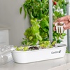 image:imageGardyn Hydroponics Growing System Vertical Indoor Garden Planter  Smart Herb Garden Includes 30 NonGMO Indoor Plants Herbs amp Vegetables amp LED Grow Lights for Your Home Indoor Gardening System