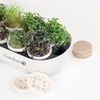 image:imageGardyn Indoor Garden Nursery  Indoor Germination Hydroponic Growing System  Seed Starter Tray Works with Gardyn Home Tower Gardens Vertical Garden Planters amp Microgreens Growing KitsMICROGREENS KIT