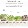 image:imageGardyn Indoor Garden Nursery  Indoor Germination Hydroponic Growing System  Seed Starter Tray Works with Gardyn Home Tower Gardens Vertical Garden Planters amp Microgreens Growing KitsMICROGREENS KIT