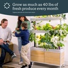 image:imageRise Garden 3 Indoor Garden Hydroponic Growing System 130W LED 12Gal Water Capacity for 72 Plants Two Levels