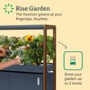 image:imageRise Gardens 1 Level Garden  Hydroponics Growing System WiFi amp App Controlled Indoor Garden with Growing Lights amp SelfWatering System  CloudCharcoal