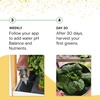 image:imageRise Gardens 1 Level Garden  Hydroponics Growing System WiFi amp App Controlled Indoor Garden with Growing Lights amp SelfWatering System  CloudCloud