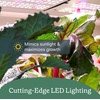 image:imageRise Gardens 1 Level Garden  Hydroponics Growing System WiFi amp App Controlled Indoor Garden with Growing Lights amp SelfWatering System  CloudCloud
