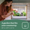 image:imageRise Gardens Personal Rise Garden Hydroponic Indoor Garden Kit with LED Grow Light Countertop Size