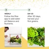 image:imageRise Gardens Personal Rise Garden Hydroponic Indoor Garden Kit with LED Grow Light Countertop Size