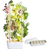 image:imageGardyn Hydroponics Growing System Vertical Indoor Garden Planter  Smart Herb Garden Includes 30 NonGMO Indoor Plants Herbs amp Vegetables amp LED Grow Lights for Your Home Indoor Gardening System