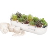 image:imageGardyn Indoor Garden Nursery  Indoor Germination Hydroponic Growing System  Seed Starter Tray Works with Gardyn Home Tower Gardens Vertical Garden Planters amp Microgreens Growing KitsMICROGREENS KIT