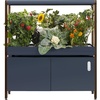 image:imageRise Gardens 1 Level Garden  Hydroponics Growing System WiFi amp App Controlled Indoor Garden with Growing Lights amp SelfWatering System  CloudCharcoal