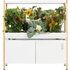 image:imageRise Gardens 1 Level Garden  Hydroponics Growing System WiFi amp App Controlled Indoor Garden with Growing Lights amp SelfWatering System  CloudCloud