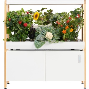 image:imageRise Gardens 1 Level Garden  Hydroponics Growing System WiFi amp App Controlled Indoor Garden with Growing Lights amp SelfWatering System  CloudCloud
