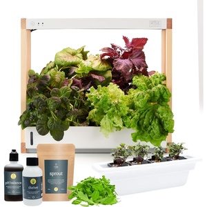 image:imageRise Gardens Personal Rise Garden Hydroponic Indoor Garden Kit with LED Grow Light Countertop Size