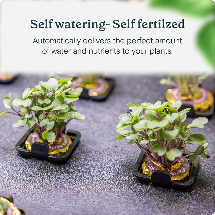 Rise Gardens | Zero-Mess Home Growing – Stackable Vertical LED Hydroponic Kits